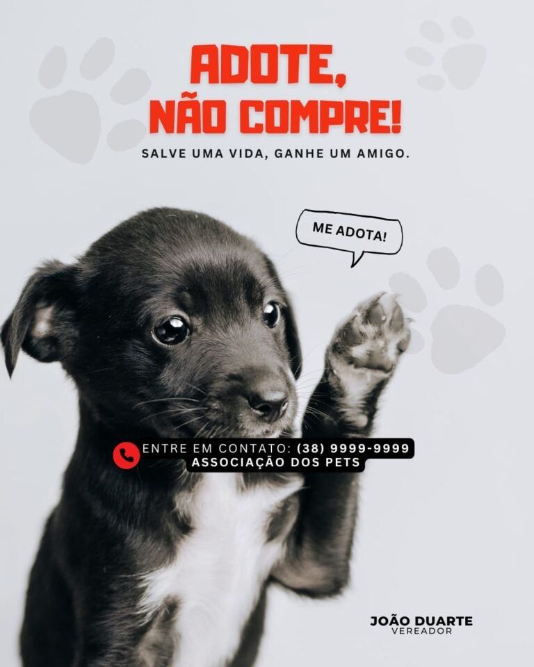 Pack Canva de Posts para Vereadores (18)