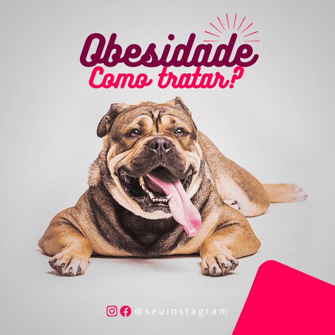 Pack Canva de posts prontos editáveis para Pet Shop (10)