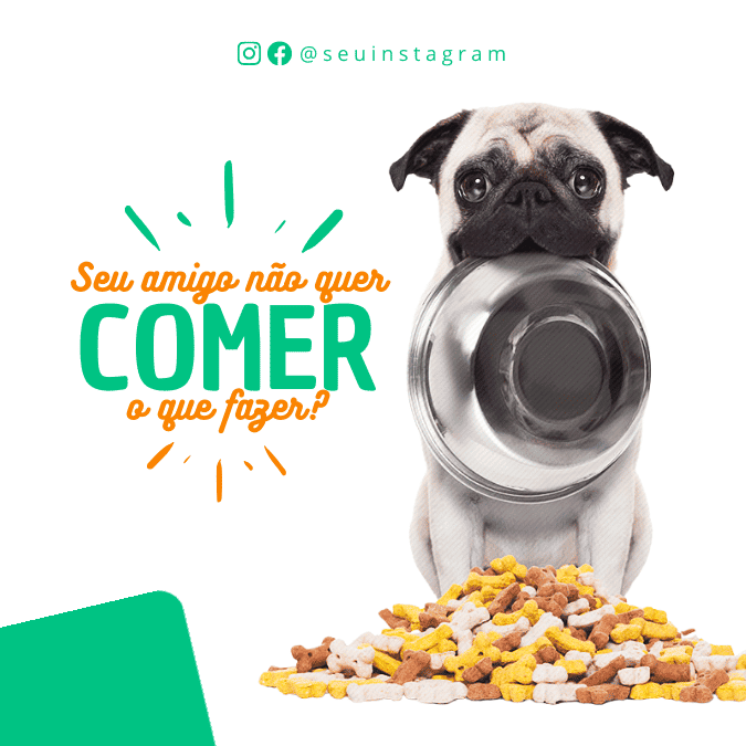 Pack Canva de posts prontos editáveis para Pet Shop (11)