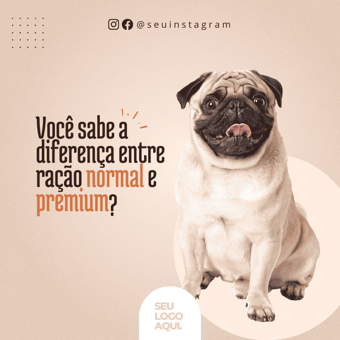 Pack Canva de posts prontos editáveis para Pet Shop (16)