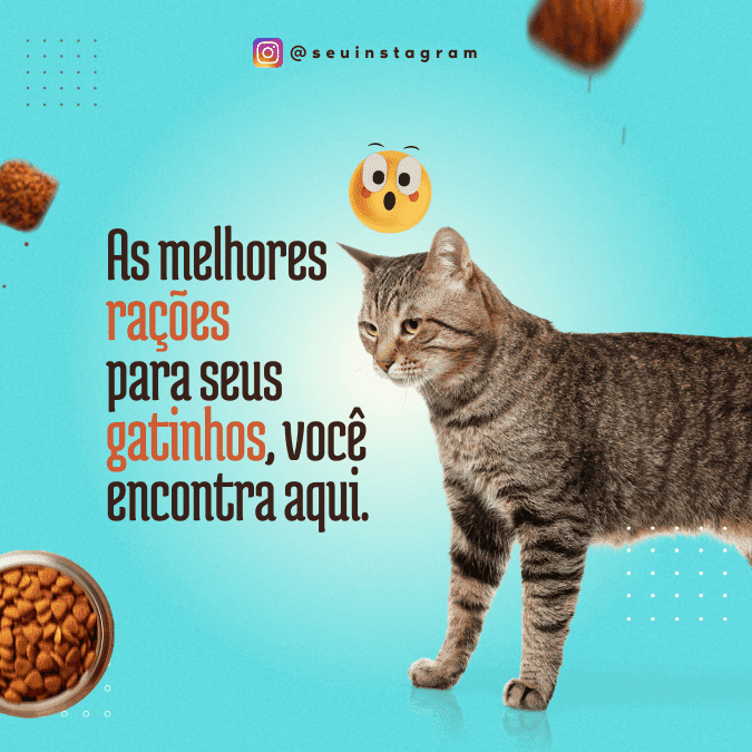 Pack Canva de posts prontos editáveis para Pet Shop (20)