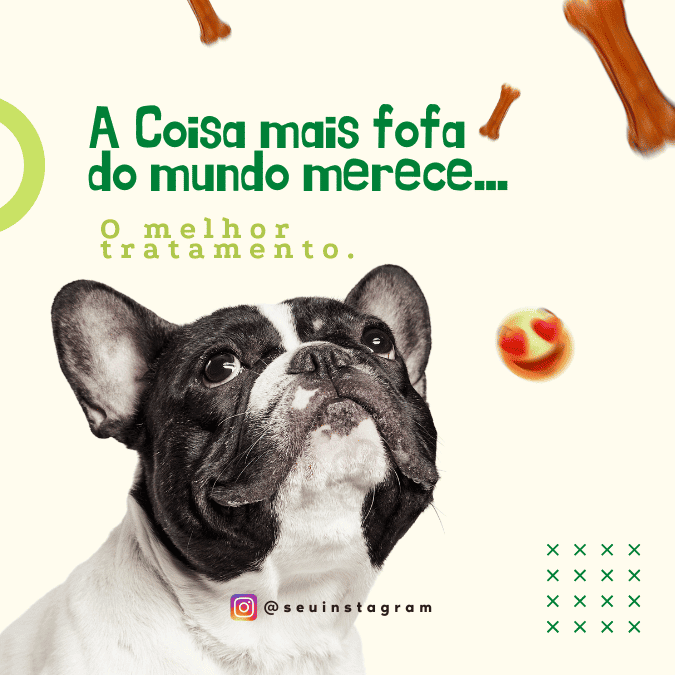 Pack Canva de posts prontos editáveis para Pet Shop (27)
