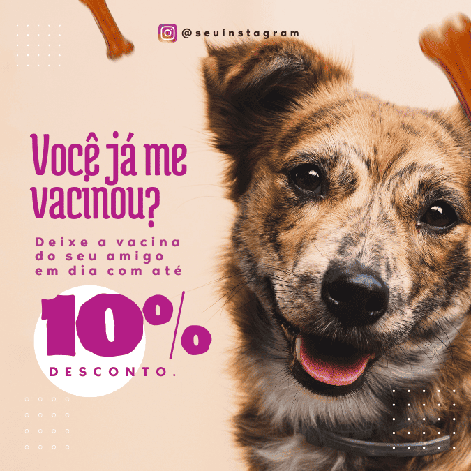 Pack Canva de posts prontos editáveis para Pet Shop (28)