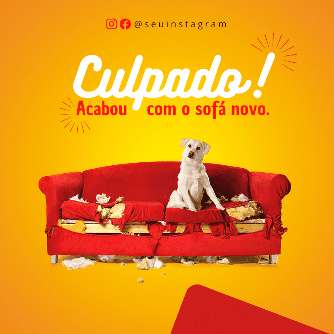 Pack Canva de posts prontos editáveis para Pet Shop (8)