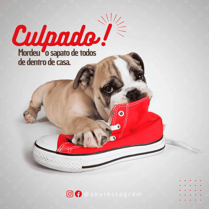 Pack Canva de posts prontos editáveis para Pet Shop (9)